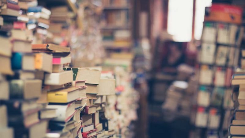 llibres-interessants-arxius-biblioteques Trobar llibres interessants per arxius i biblioteques